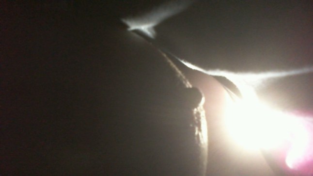 2012-12-05 16-10-58.540