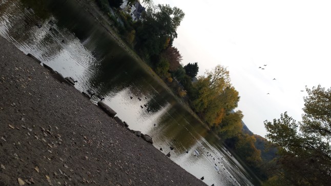 Dezember 2015 076