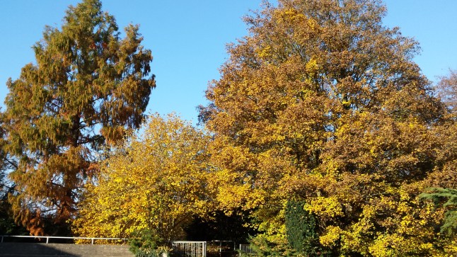 Dezember 2015 174