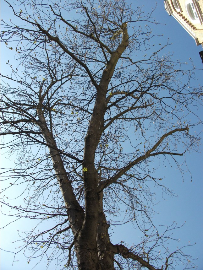 2-04-10-011.jpg