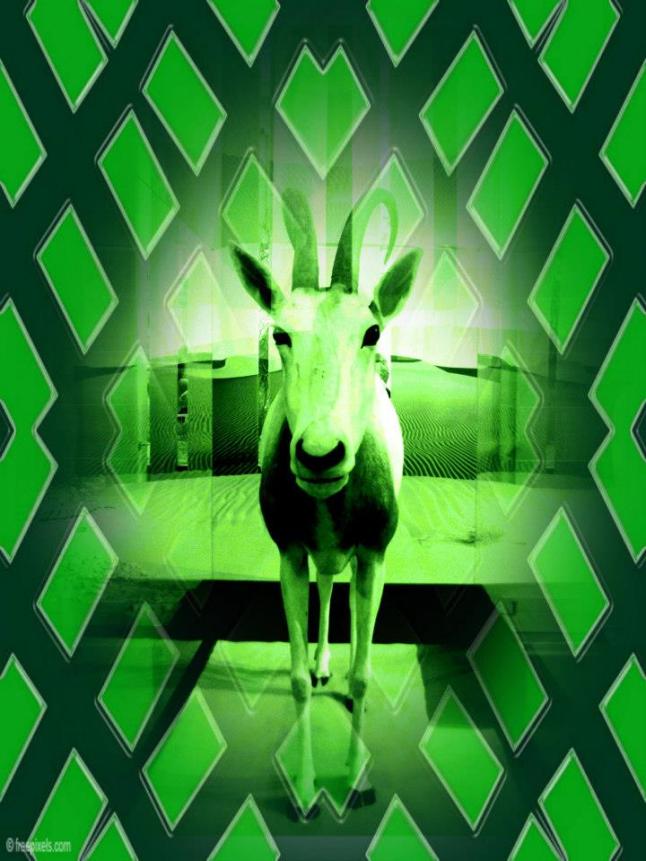 28176_523839157658023_1777681594_n