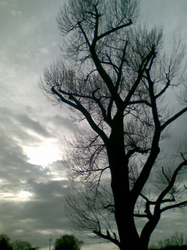 Bild558
