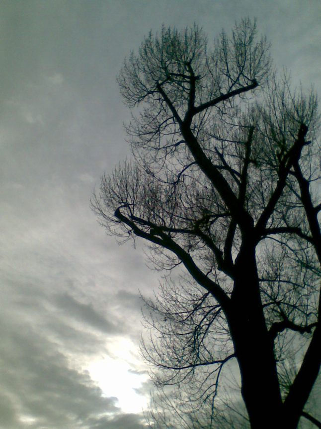 Bild560