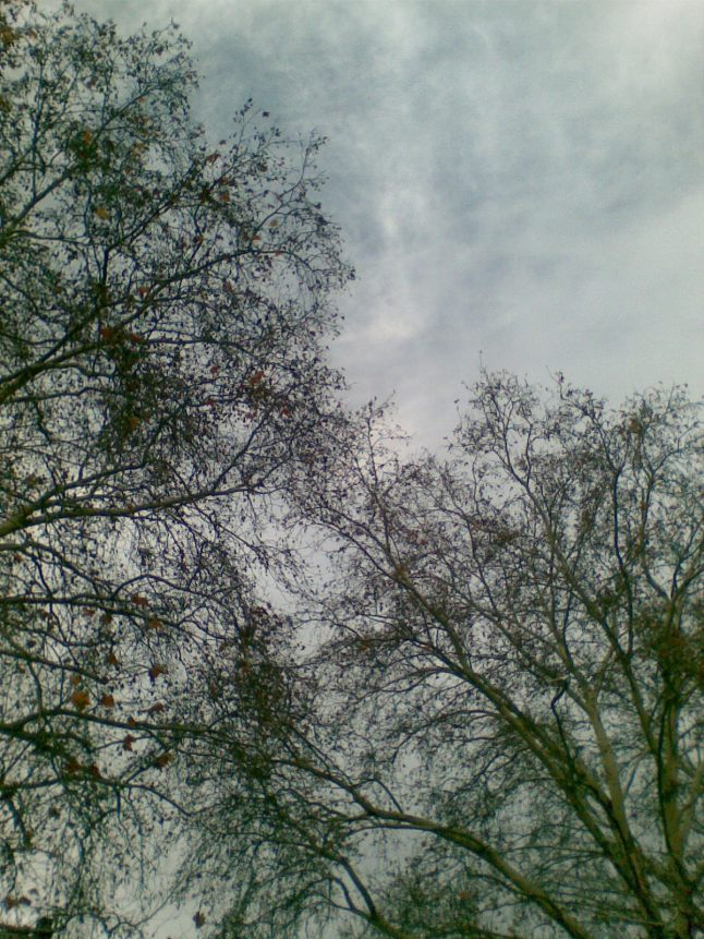 Bild561