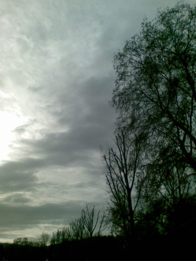 Bild564