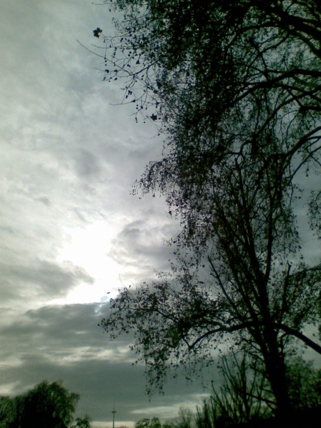 Bild565