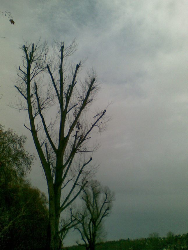 Bild566