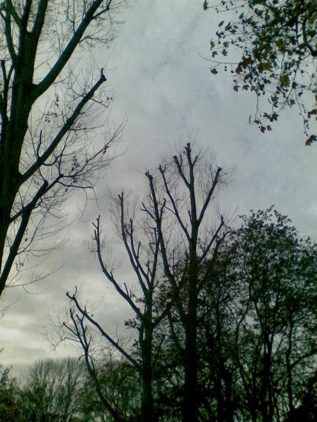 Bild567
