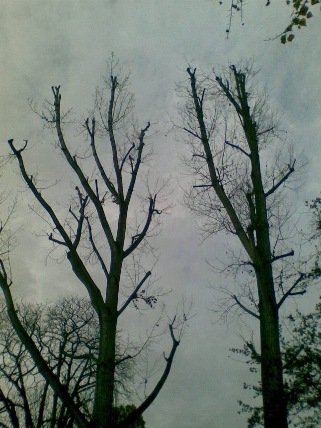 Bild570