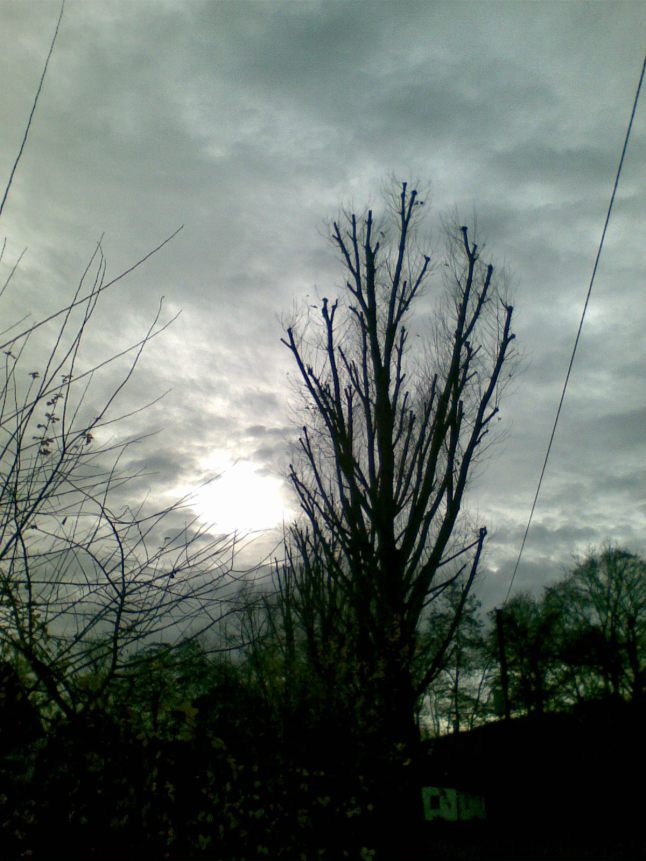 Bild572