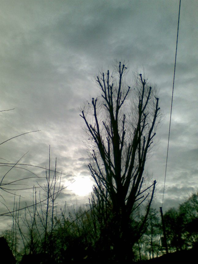 Bild573