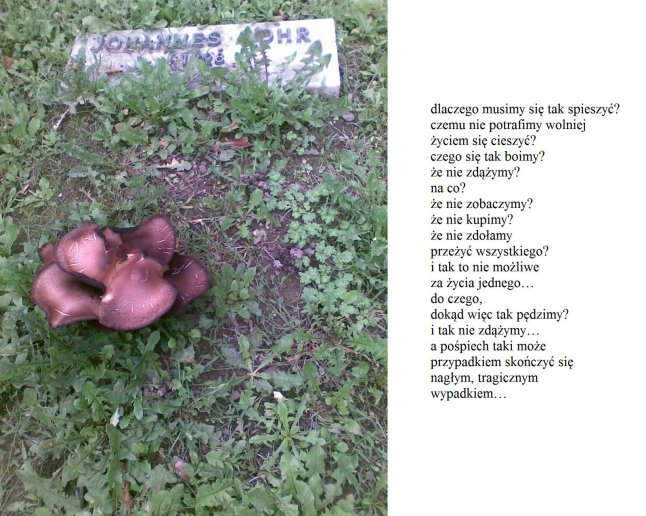 dlaczegomusimysiespieszyc