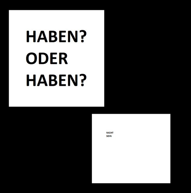 habenoderhaben1