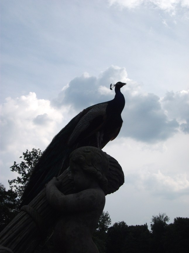 juli20.10 008