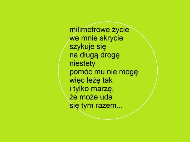 milimetrowezycie