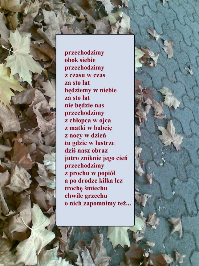 przechdodzimy